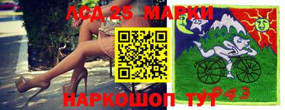 ALPHA PVP Ярославль
