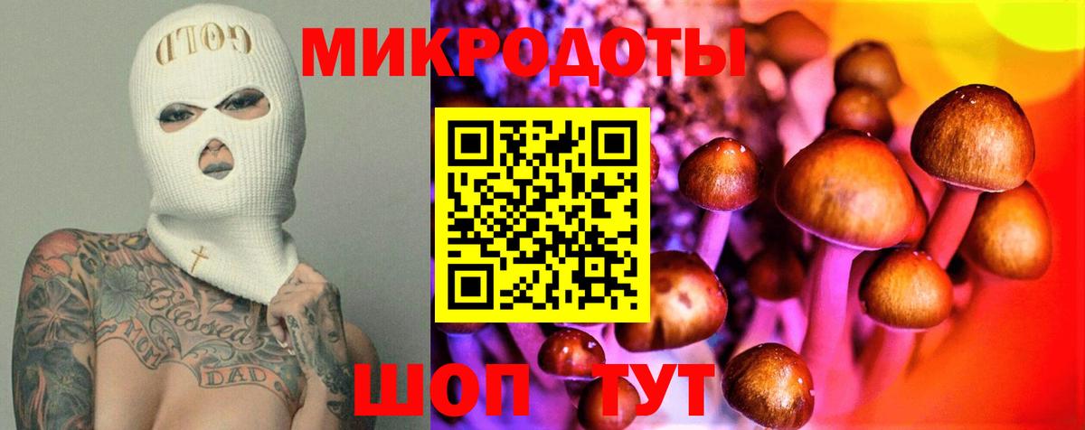 Казань  Галлюциногенные грибы Cubensis  что такое наркотик  Вход с VPN 
